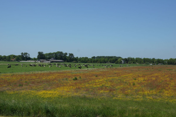 2024 04 25 Natuurkwaliteit OBN beheer hooiland 1